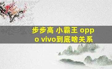 步步高 小霸王 oppo vivo到底啥关系